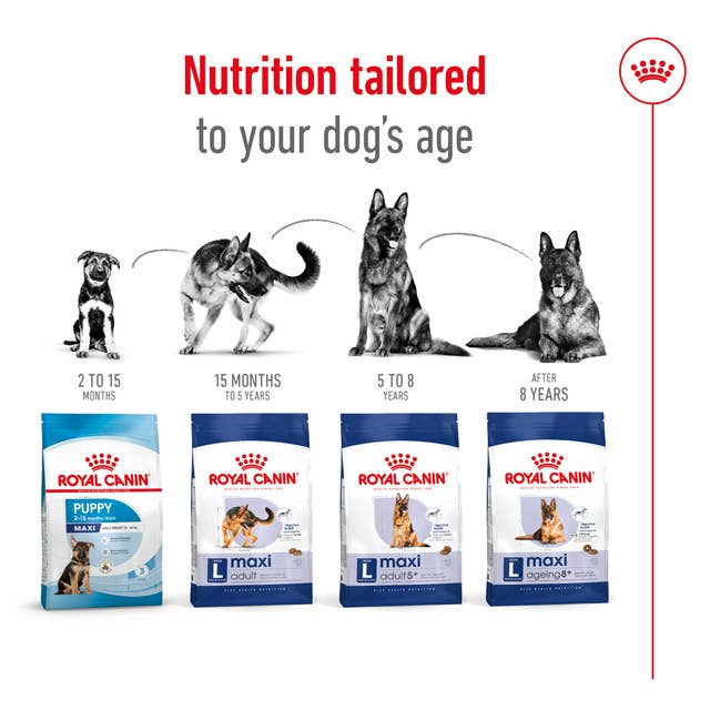 غذای خشک سگ مکسی ادالت رویال کنین - Royal Canin Maxi Adult