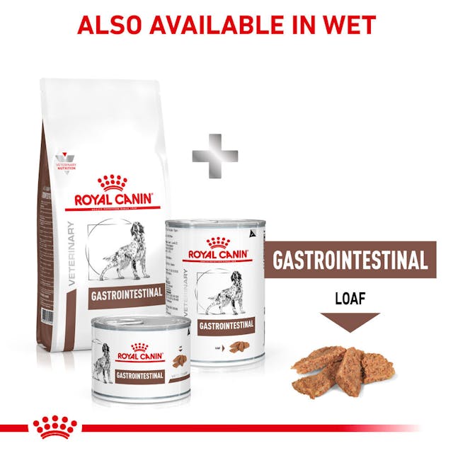 غذای خشک سگ رویال کنین گاسترو اینتستینال - Royal Canin Gastrointestinal 