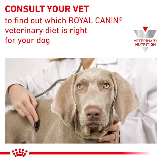 غذای خشک سگ رنال رویال کنین - Royal Canin Renal