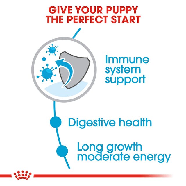 غذای خشک سگ مکسی پاپی رویال کنین - Royal Canin Maxi Puppy