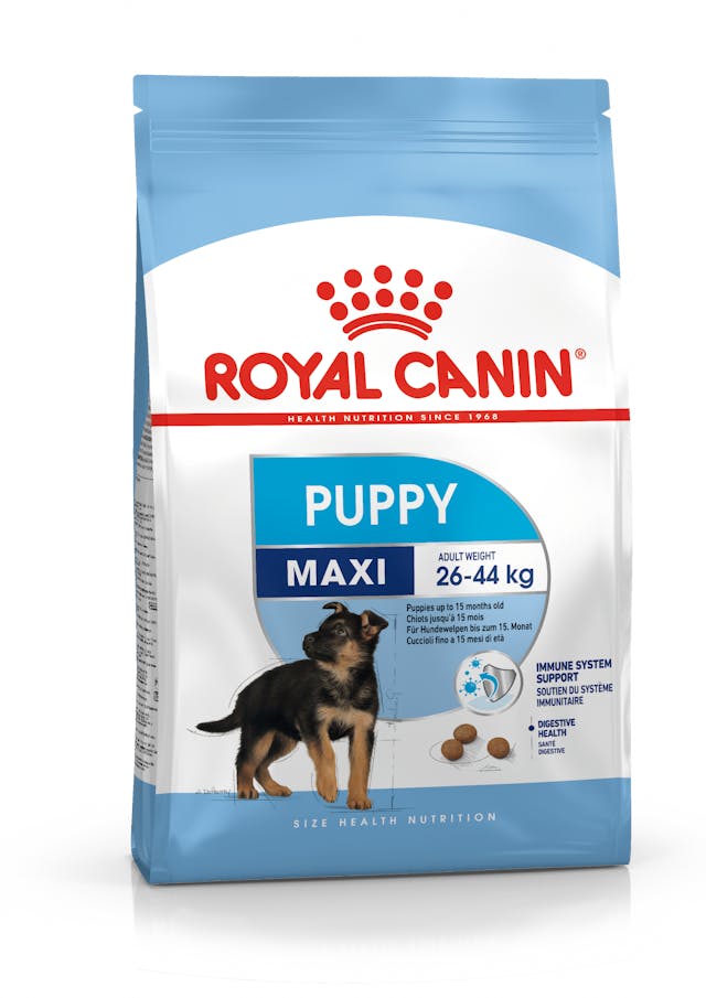 خرید غذای خشک سگ مکسی پاپی رویال کنین - Royal Canin Maxi Puppy